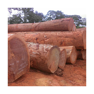 Nga Thông Gỗ Chạm Khắc Gỗ Gỗ Gỗ Xuất Khẩu Gỗ - Product Image 6