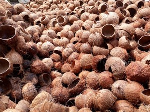 ชามมะพร้าว,ชามกะลามะพร้าวจากเวียดนามชามโคอ็อกนัทมุกเคลือบผิวชามกะลาเป็นมิตรกับสิ่งแวดล้อม BPA - Product Image 5