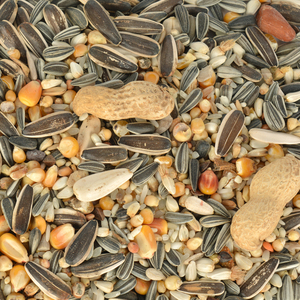 Alimento da papagaio da selva 500 g