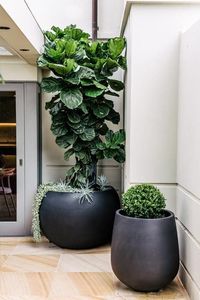 Hot Selling Attractive Customized Design Eco-Friendly Iron Powder Coated <b>Flower</b> Pots for Indoor and Outdoor Plants Multi Color - Product Image 5