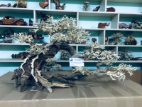 Meilleur Prix Aquarium Bonsaï Bois Flotté Naturel pour Aquariums & Accessoires Décoration Bonsaï Arbre Du Vietnam Pour Grossistes
