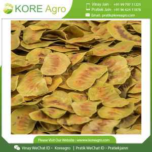 Hojas y vainas de senna 100% naturales, secadas al sol, de primera calidad. Compre en India a precio económico. - Product Image 3