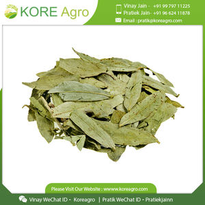 Naturel sec Senna Prime 5 feuilles 100% Pure meilleure qualité vente quantité minimale de commande fournisseur fabricant indien à prix Minimal - Product Image 2