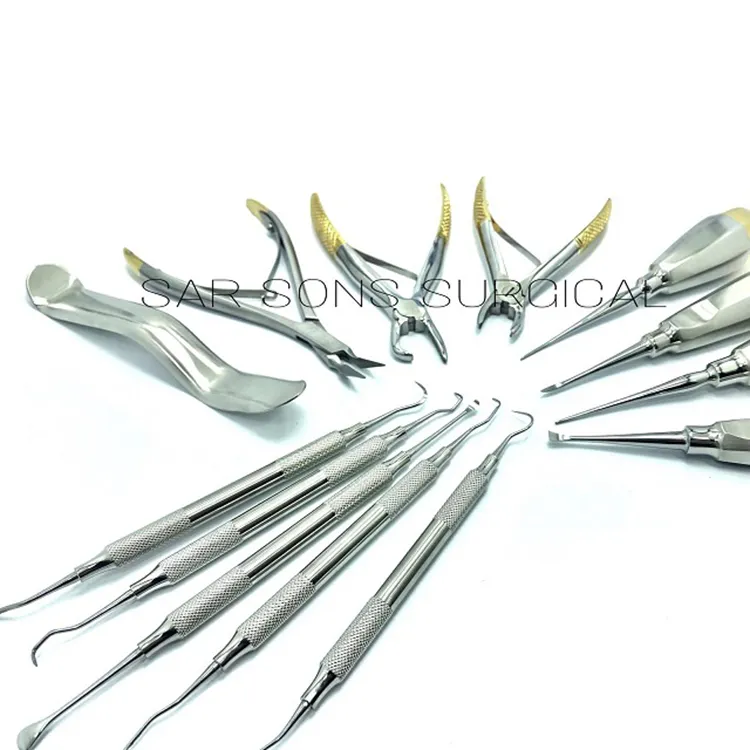 Instrumentos cirúrgico odontológico veterinário, instrumentos ortopédicos duráveis barato