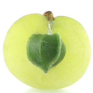 Aceite Portador de Semillas de Amla Prensado en Frío, Certificado GMP, Origen India - Product Image 4