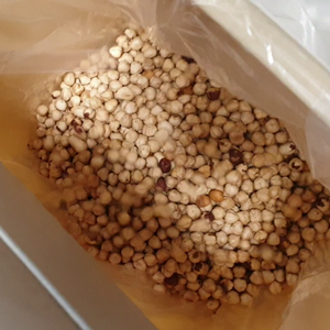 Machine à éplucher la peau de noisette par Air Machine à éplucher la peau des noix en acier inoxydable 304 de haute qualité - Product Image 4