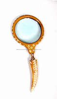 Designer Handheld Brass & Bone Magnifier with 3-4 Inch Lens Options