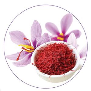 Samger — Saffron frais de haute qualité, fournitures en livraison depuis l'inde, de qualité supérieure - Product Image 4