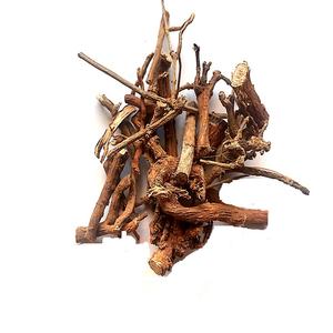 Kapas Jad - Gossypium Arboreum Root - Product Image 1