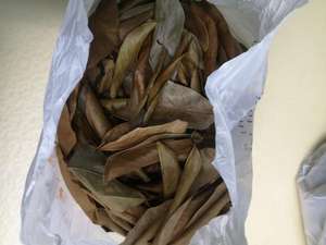 GRAVIOLA SECA DE LA MEJOR CALIDAD/HOJA DE URENTA DE VIETNAM/Sr. Kevin - Product Image 6