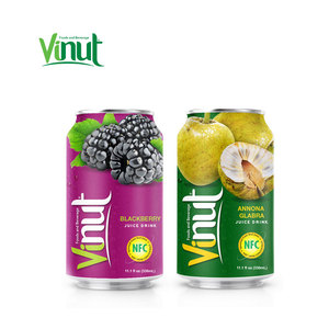 Concentrado de Moras Enlatado de 330 ml, Jugo de Fruta a Granel, Fabricante de Bebidas de Marca Privada OEM ODM - Product Image 1
