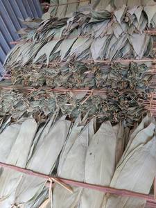 Feuilles de bambou brut, pièces, en bambou brut, écologique, bon prix - Product Image 3