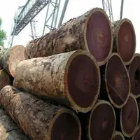 מכירה לוהטת מיאנמר מודרני טיק יער יומני עץ גלם חומרים