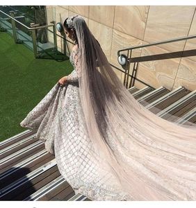 Robe bouffante de créateur indienne et pakistanaise inspirée de la mode 2019 avec broderie élégante et silhouette évasée - Product Image 3