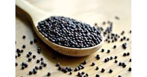 Huile de graines de moutarde pressée à froid, huile végétale d'origine indienne, certifiée GMP et casher, AARNAV GLOBAL EXPORTS - Product Image 3