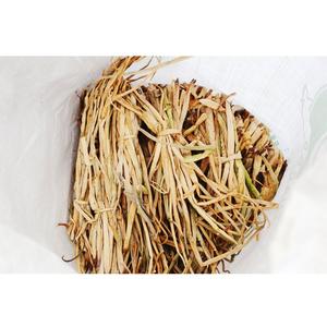 Materia prima de jacinto de agua seca - Product Image 1