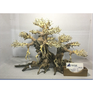 สินค้าพิเศษ - ไม้ลอยน้ำบอนไซสำหรับตู้ปลา ไม้ลอยน้ำสำหรับตู้ปลาขายส่ง - Product Image 3