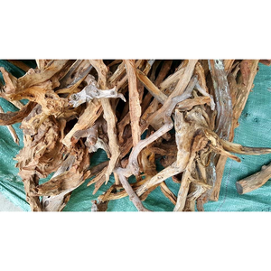 ต้นชายป่าธรรมชาติจากเวียดนามสำหรับพิพิธภัณฑ์สัตว์น้ำ - Product Image 2