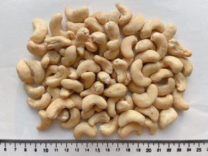 Hanfimex Vietnam + 84397766566 noyaux de noix de cajou crus de haute qualité SW320 bon prix - Product Image 2