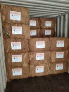 ใยมะพร้าวเกรด 'A' เป็นมิตรกับสิ่งแวดล้อม ความยาว 6 ซม.-20 ซม. คุณภาพธรรมชาติ 100% สำหรับตลาดส่งออกยุโรป - Product Image 6