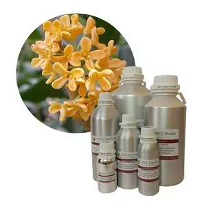 Osmanthus שמן מוסמך באיכות של Osmanthus שמן מהודו בתפזורת Osmanthus שמן מוחלט במחיר סיטונאי