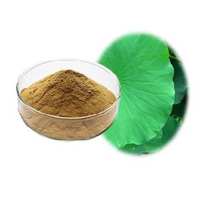 Poudre de lotus Lotus séché meilleur prix et haute qualité - Product Image 1