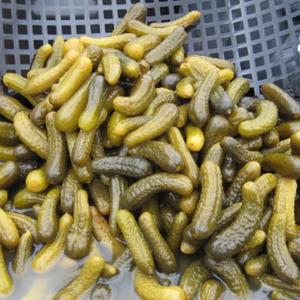 Cornichons en fût, cornichons en saumure, cornichons en acide acétique - Product Image 1
