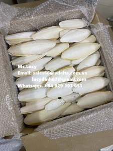 Naturel os de seiche pour l'alimentation animale/riche en nutriments du Vietnam avec le meilleur prix Ms.Lucy + 84 929 397 651 - Product Image 3