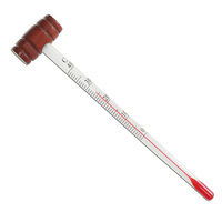 Termometer Anggur Ramah Lingkungan dengan Gagang Tong Kayu dan Logo Kustom untuk Pesta dan Aksesoris Bar