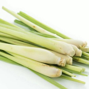 Hierba de Limón Congelada con Certificación ISO HACCP, Producto para el Cuidado de la Salud, Exportación desde Vietnam / Sra. Kate - Product Image 1