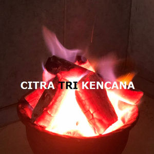 RESTAURANT GRADE HARD WOOD CHARCOAL, NATURAL WOOD CHARCOAL,BBQ CHARCOAL FOR BBQ TASTE BETTER MEAT Faleasao County SAMOA AMERICA - Product Image 1