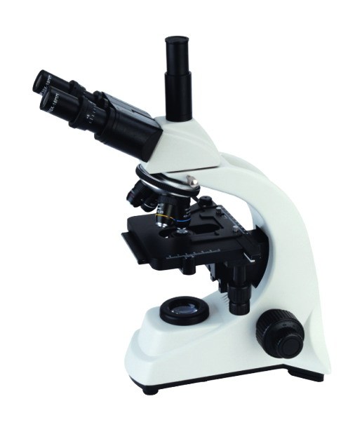 Hot Selling  Optical Instrument Biological Digital Microscope Trinocular Microscope with Camera and Display
