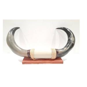 Decoración de Pared de Estilo Occidental con Cuerno de Toro Redondo sobre Base de Madera Maciza con Cuero y Cuerda, Decoración de Pared de Casa Histórica de Estilo Rústico - Product Image 1