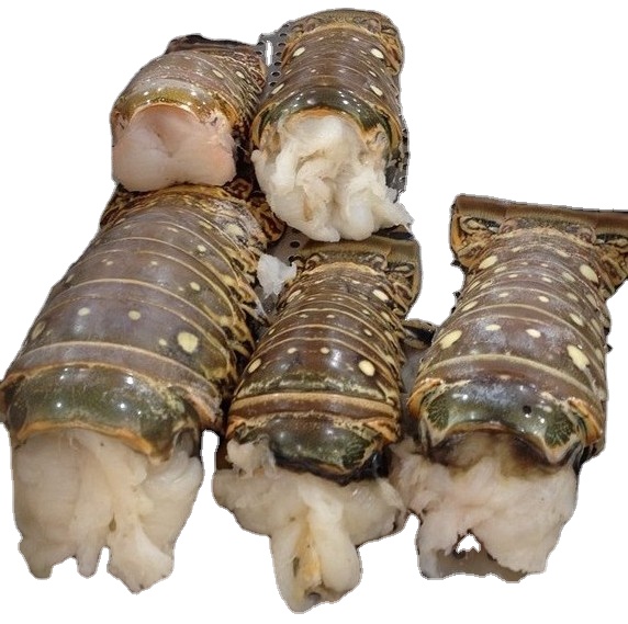 Frozen Fresh Live Lobster - Green Lobster -Jumbo Size Lobster