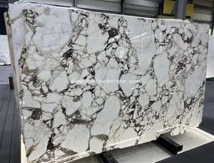 White Marble With Purple Veins Calacatta Viola Red Marble Slabs