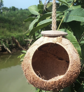 บ้านนกและรังนกทำจากเปลือกมะพร้าวธรรมชาติแบบเป็นมิตรต่อสิ่งแวดล้อม Eco2go เวียดนาม สำหรับนกขนาดเล็ก นกฟินช์ และนกเลิฟเบิร์ด - Product Image 4