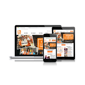 Custom plugin development Company in India | Award Winning WordPress Plugin design & Development Services by Webroot Infosoft - Product Image 4