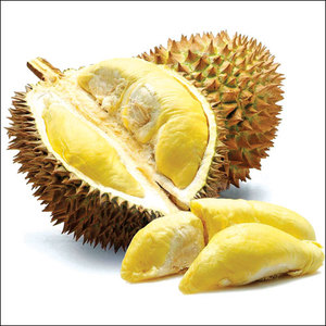 Meilleure vente de durian congelé de haute nutrition organique IQF durian de qualité d'exportation du Vietnam - Product Image 3