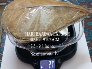 Acuario indio de almendras respetuoso con el medio ambiente uso diario paquete de 10 hojas de 19-25 cm 7,5-9,8 pulgadas para Navidad - Product Image 2