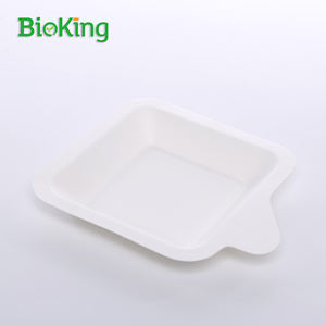 BioKing Assiettes à bagasse jetables biodégradables pour restaurants mariages pour emballage alimentaire Présentoir à sushis - Product Image 2