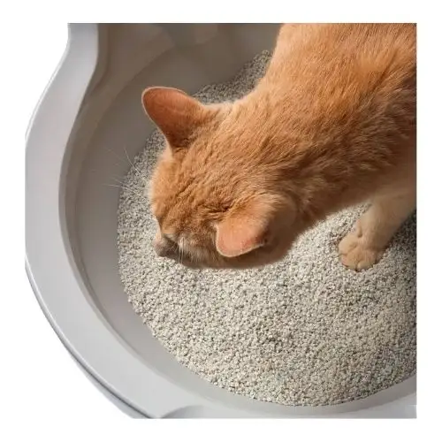 Safe Cat Litter from Cassava Starch/ Tapioca Powder for Your Pet Eco-friendly Flour / MS.THI NGUYEN +84 988 872 713