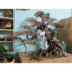 2023 אקווריום diftwood bonsai לאקווריום אביזרים: + 84 961005832