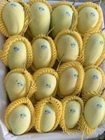 Verse Mango Fruit/Verse Mango Hoge Kwaliteit/Groothandel Mango Fruit Vietnam