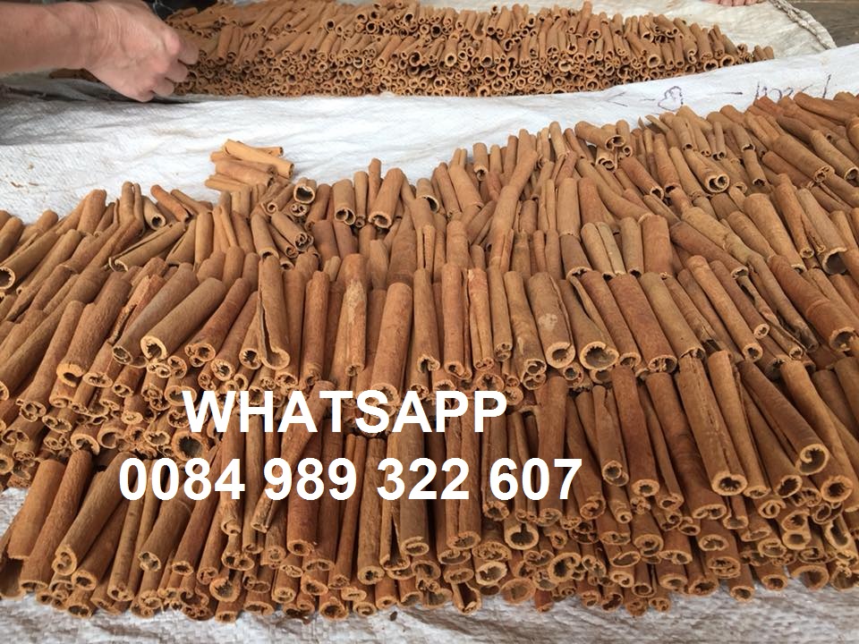Cinnamon Single Spices Cassia Best Quality Low Price Dried Cinnamon Stick Spicy AD Single Herbs & Sp