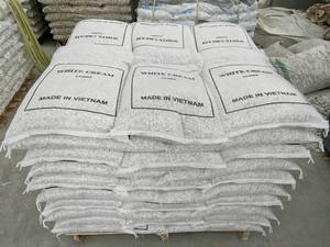 Piedra de Vietnam más vendida, blanco marfil, blanco crema, blanco lechoso, piedra Natural redonda pequeña para revestimiento de suelo, tipo guijarro - Product Image 2