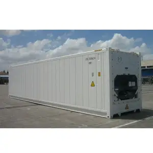 Buon Prezzo Carrier Repaiting 20ft Utilizzato Refrigerato Reefer Contenitore per la Vendita