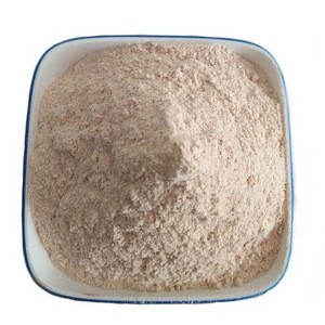 PREMIUM NATURAL APPLE POWDER FREEZE DRIED APPLE FRUIT POWDER FOR BAKING AND CONFECTIONERY - Product Image 5