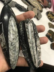 Pierre précieuse d'orthoceras de haute qualité naturelle - Product Image 4