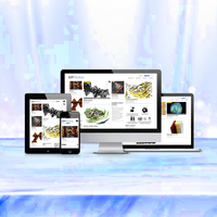 PHP Website Design & Development Company in India | Award Winning PHP Website design & Development Services by Webroot Infosoft