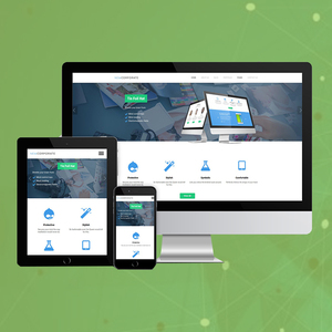 Professional Open Source Customization Website <b>Development</b> Company | Award Winning Open Source Customization Services by Webroot - Product Image 2